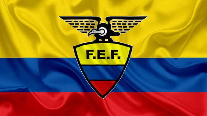 thumb2-ecuador-national-football-team-logo-emblem-ecuadorian-flag-football-federation