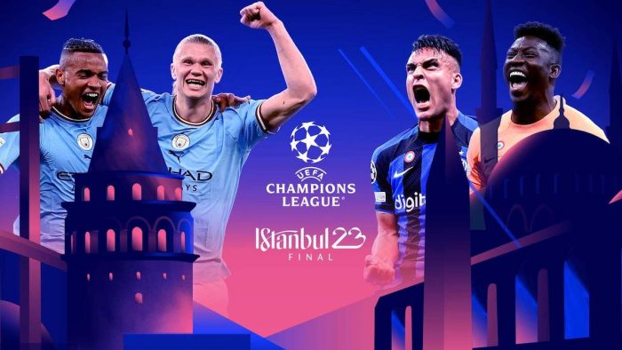 ucl_final_preview